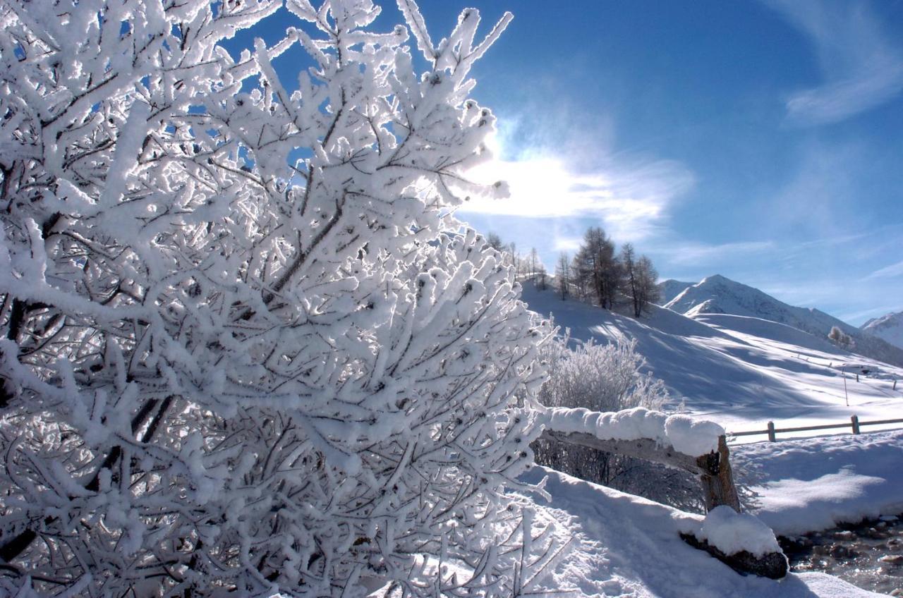 Alexander Charme Hotel Livigno Exterior photo